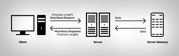 Openssl Heartbleed Bug